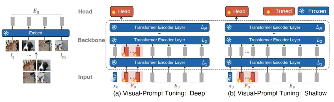 ▲ Visual Prompt Tuning ▲ Visual Prompt Tuning